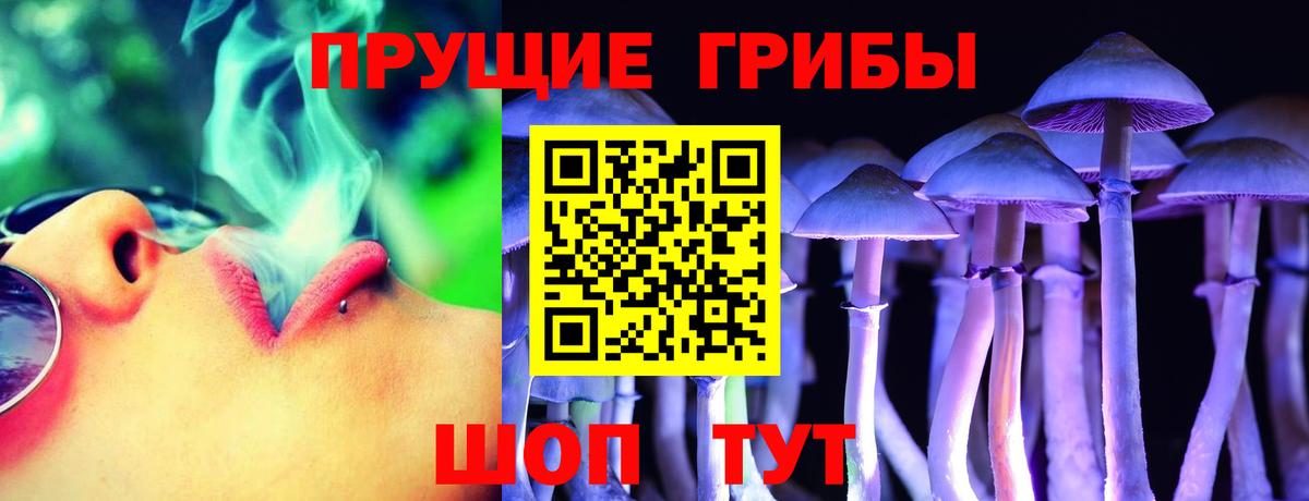 Галлюциногенные грибы мухоморы Дмитров
