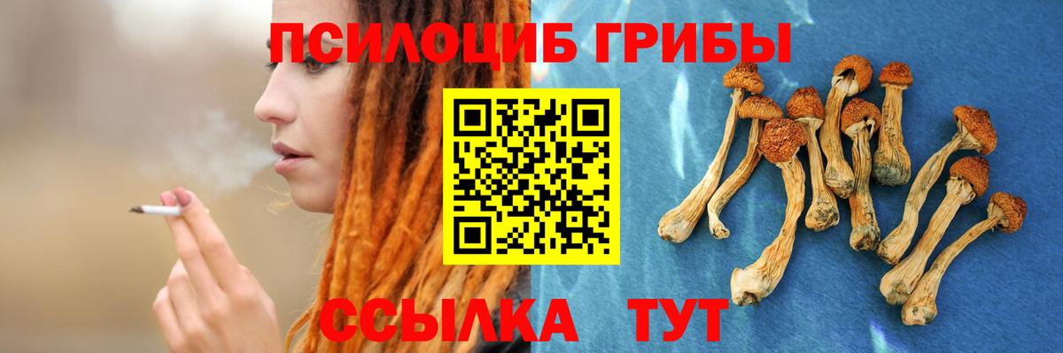 Дмитров  Галлюциногенные грибы GOLDEN TEACHER  Вход с VPN 