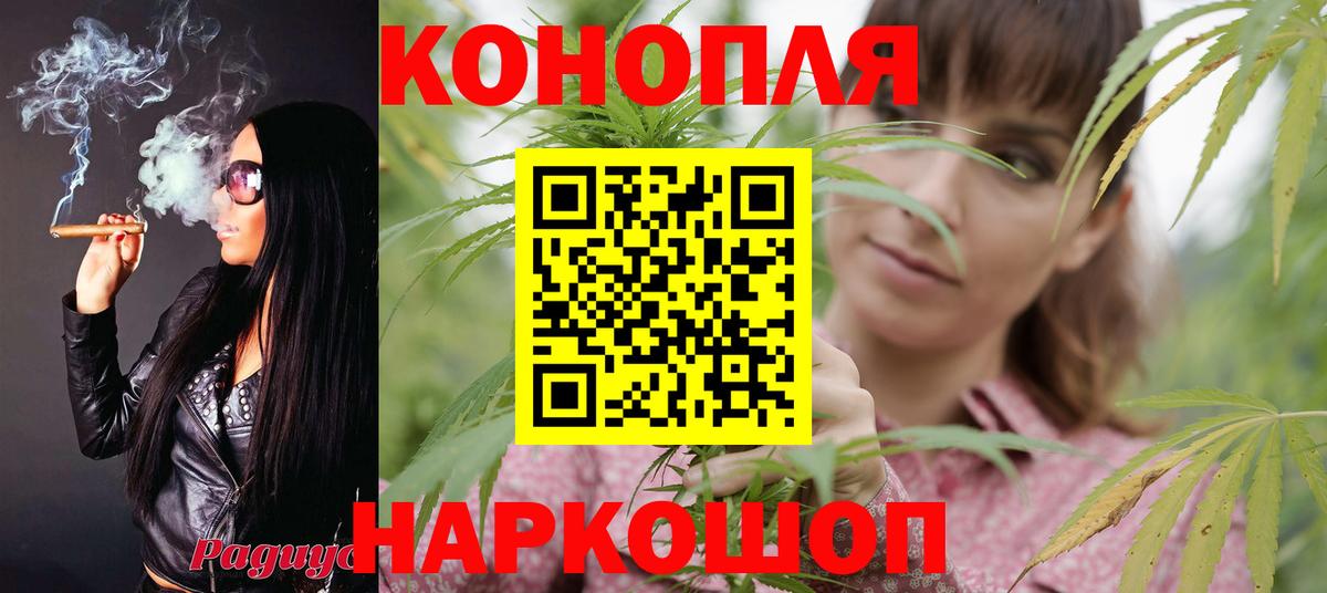 Конопля Ganja Дмитров